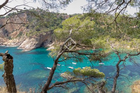 Villa a Tossa De Mar, Gerona, Tossa De Mar - € 5.850.000 | Ref: CBR47120 - foto 36
