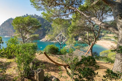 Villa a Tossa De Mar, Gerona, Tossa De Mar - € 5.850.000 | Ref: CBR47120 - foto 37