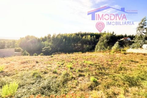 Helårsgrund i Serta, Castelo Branco, Serta - € 19.000 | Ref: DV353/0824 - foto 2