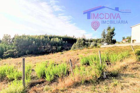 Helårsgrund i Serta, Castelo Branco, Serta - € 19.000 | Ref: DV353/0824 - foto 3