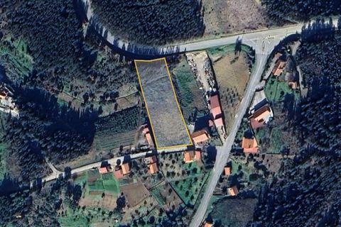 Helårsgrund i Serta, Castelo Branco, Serta - € 19.000 | Ref: DV353/0824 - foto 5