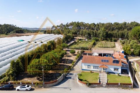Byhus i Bombarral, Leiria, Bombarral - € 650.000 | Ref: 021A24 - foto 7