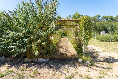 Byhus i Bombarral, Leiria, Bombarral - € 650.000 | Ref: 021A24 - foto 9