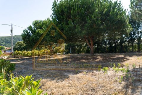 Byhus i Bombarral, Leiria, Bombarral - € 650.000 | Ref: 021A24 - foto 11