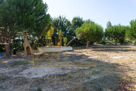 Byhus i Bombarral, Leiria, Bombarral - € 650.000 | Ref: 021A24 - foto 12