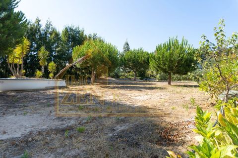 Byhus i Bombarral, Leiria, Bombarral - € 650.000 | Ref: 021A24 - foto 14