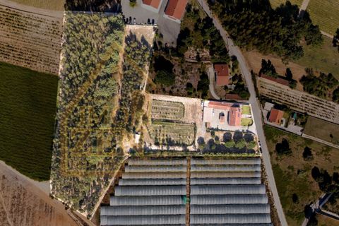 Byhus i Bombarral, Leiria, Bombarral - € 650.000 | Ref: 021A24 - foto 20