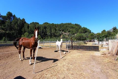 Villa i Orba, Alicante, Orba - € 195.000 | Ref: HO121161 - foto 32