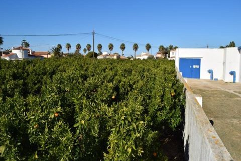 Tomt i Els Poblets, Alicante, Els Poblets - € 350 000 | Ref: HO592563 - foto 2