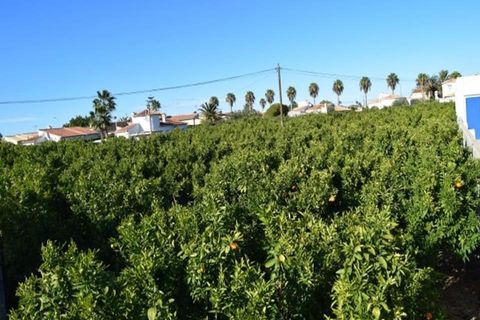 Tomt i Els Poblets, Alicante, Els Poblets - € 350 000 | Ref: HO592563 - foto 3