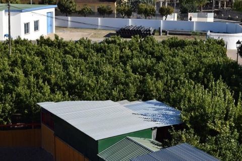 Tomt i Els Poblets, Alicante, Els Poblets - € 350 000 | Ref: HO592563 - foto 6