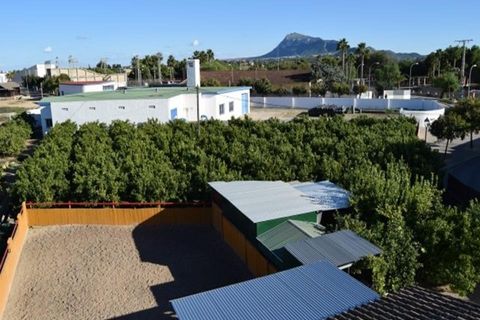 Tomt i Els Poblets, Alicante, Els Poblets - € 350 000 | Ref: HO592563 - foto 7