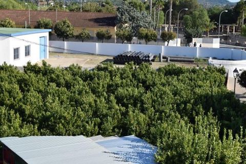 Tomt i Els Poblets, Alicante, Els Poblets - € 350 000 | Ref: HO592563 - foto 8