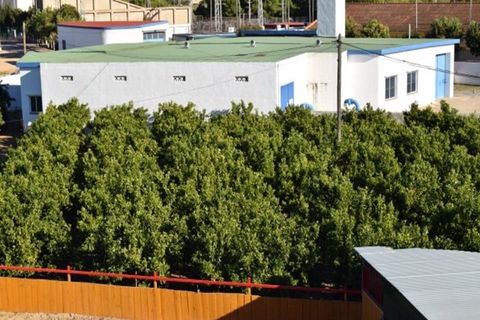 Tomt i Els Poblets, Alicante, Els Poblets - € 350 000 | Ref: HO592563 - foto 9
