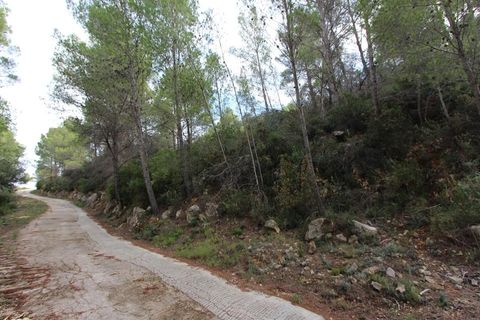 Tomt i Benigembla, Alicante, Benigembla - € 50 000 | Ref: HO121338 - foto 2