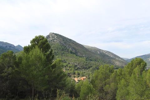 Tomt i Benigembla, Alicante, Benigembla - € 50 000 | Ref: HO121338 - foto 4