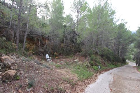 Tomt i Benigembla, Alicante, Benigembla - € 50 000 | Ref: HO121338 - foto 5