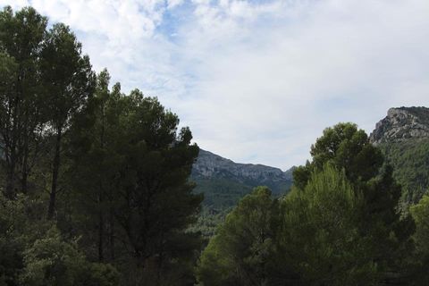 Tomt i Benigembla, Alicante, Benigembla - € 50 000 | Ref: HO121338 - foto 6