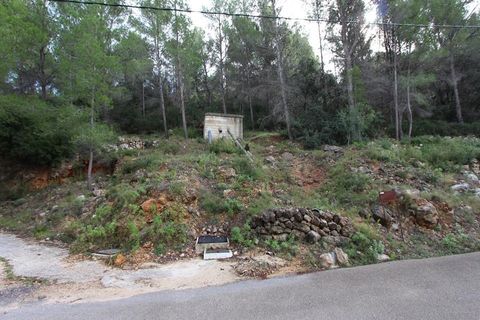 Tomt i Benigembla, Alicante, Benigembla - € 50 000 | Ref: HO121338 - foto 7