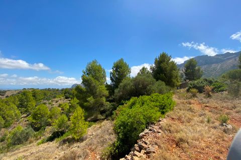 Helårsgrund i Jalon, Alicante, Jalon - € 315.000 | Ref: HO121465 - foto 2