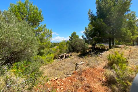 Helårsgrund i Jalon, Alicante, Jalon - € 315.000 | Ref: HO121465 - foto 5