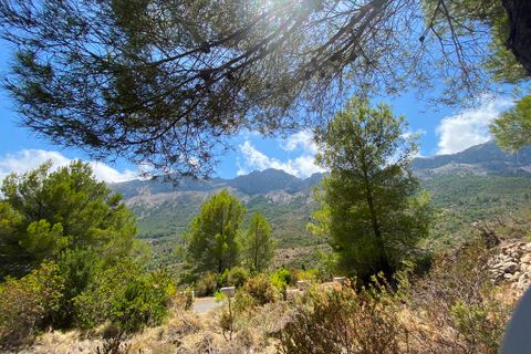 Helårsgrund i Jalon, Alicante, Jalon - € 315.000 | Ref: HO121465 - foto 9