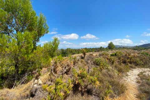 Helårsgrund i Jalon, Alicante, Jalon - € 315.000 | Ref: HO121465 - foto 12