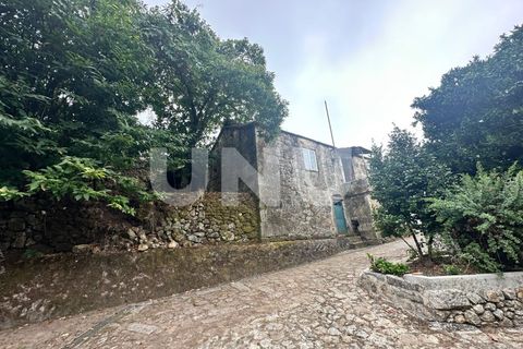 Villa a Arouca, Aveiro, Arouca - € 48.000 | Ref: UNU.I.1669.19351 - foto 10