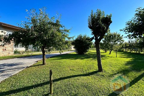 Rækkehus i Cormons, Gorizia, Cormons - € 95.000 | Ref: PRN95LN1 - foto 19