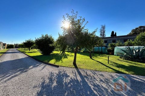 Rækkehus i Cormons, Gorizia, Cormons - € 95.000 | Ref: PRN95LN1 - foto 20