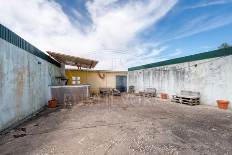 Erhvervsejendom i Mora, Evora, Mora - € 150.000 | Ref: 2484 - foto 3
