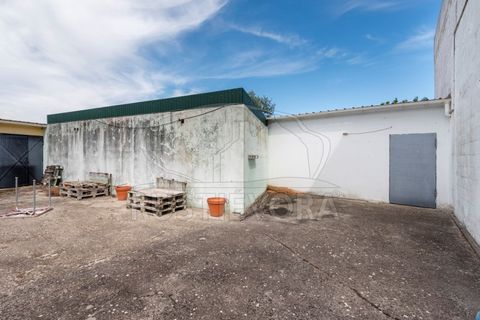Erhvervsejendom i Mora, Evora, Mora - € 150.000 | Ref: 2484 - foto 13