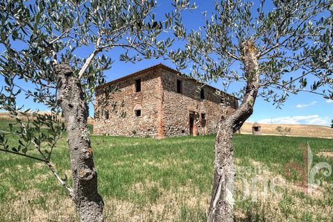 Villa a Lajatico, Pisa, Lajatico - € 290.000 | Ref: 18646 - foto 5