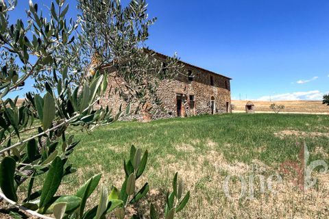 Villa a Lajatico, Pisa, Lajatico - € 290.000 | Ref: 18646 - foto 8