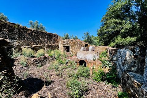 Terra a Sardoal, Santarem, Sardoal - € 45.000 | Ref: VCP357 - foto 8