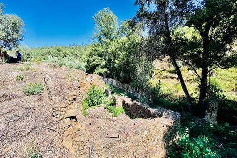 Terra a Sardoal, Santarem, Sardoal - € 45.000 | Ref: VCP357 - foto 12