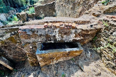 Terra a Sardoal, Santarem, Sardoal - € 45.000 | Ref: VCP357 - foto 14