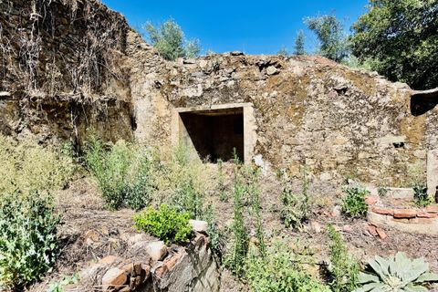 Terra a Sardoal, Santarem, Sardoal - € 45.000 | Ref: VCP357 - foto 22