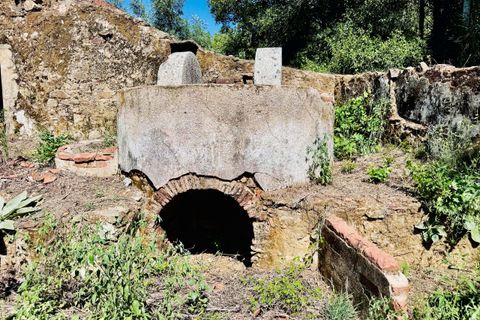 Terra a Sardoal, Santarem, Sardoal - € 45.000 | Ref: VCP357 - foto 23