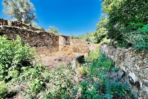 Terra a Sardoal, Santarem, Sardoal - € 45.000 | Ref: VCP357 - foto 25