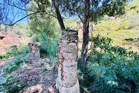 Terra a Sardoal, Santarem, Sardoal - € 45.000 | Ref: VCP357 - foto 26
