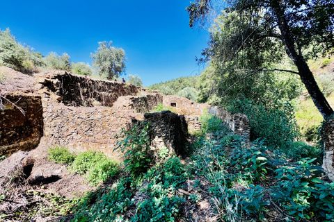 Terra a Sardoal, Santarem, Sardoal - € 45.000 | Ref: VCP357 - foto 27