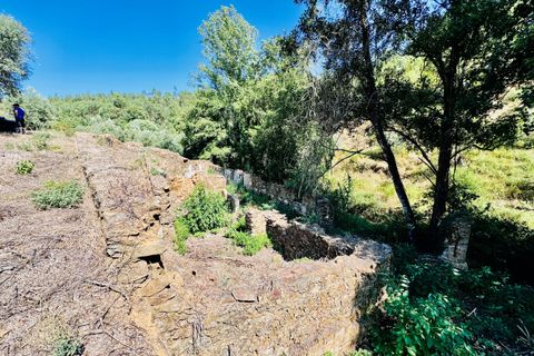 Terra a Sardoal, Santarem, Sardoal - € 45.000 | Ref: VCP357 - foto 29