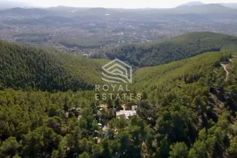 Haus in Santa Eulalia Del Rio, Ibiza - Foto 1