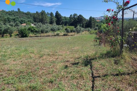 Helårsgrund i Belmonte, Castelo Branco, Belmonte - € 42.500 | Ref: C9515 - foto 5