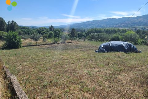 Helårsgrund i Belmonte, Castelo Branco, Belmonte - € 42.500 | Ref: C9515 - foto 6