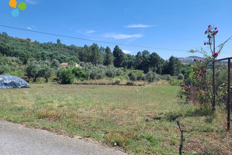 Helårsgrund i Belmonte, Castelo Branco, Belmonte - € 42.500 | Ref: C9515 - foto 2