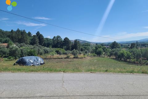 Helårsgrund i Belmonte, Castelo Branco, Belmonte - € 42.500 | Ref: C9515 - foto 7
