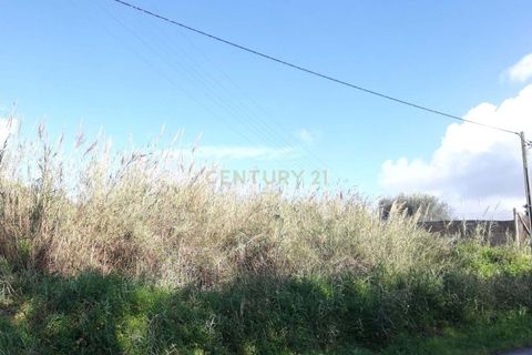 Helårsgrund i Alcobaca, Leiria, Alcobaca - € 55.000 | Ref: 0563-01766 - foto 3
