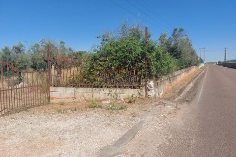 Terra a Bencatel, Evora, Bencatel - € 155.000 | Ref: SÒL_380 - foto 2